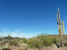 photo thumbnail #15