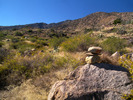 photo thumbnail #2