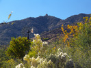 photo thumbnail #4
