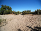 photo thumbnail #5