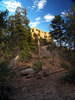 photo thumbnail #7
