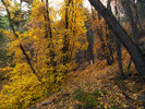 photo thumbnail #10