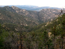 photo thumbnail #12