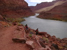 photo thumbnail #10