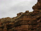 photo thumbnail #4