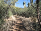 photo thumbnail #2