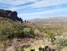 photo thumbnail #12