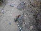 photo thumbnail #3