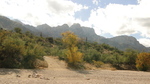 photo thumbnail #1