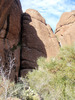 photo thumbnail #11