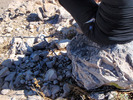 photo thumbnail #13