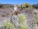 photo thumbnail #4