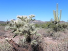 photo thumbnail #14