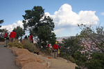 photo thumbnail #5