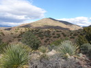 photo thumbnail #6