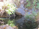 photo thumbnail #7