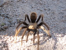 photo thumbnail #11