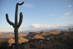 photo thumbnail #7