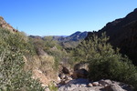 photo thumbnail #1
