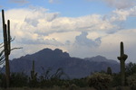 photo thumbnail #1