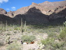photo thumbnail #12