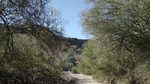 photo thumbnail #2