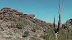 photo thumbnail #14