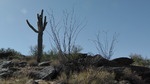 photo thumbnail #15