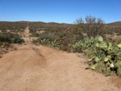 photo thumbnail #2