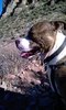 photo thumbnail #3