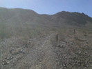 photo thumbnail #1