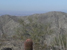 photo thumbnail #9