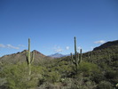 photo thumbnail #3