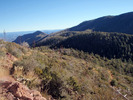 photo thumbnail #2