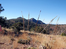 photo thumbnail #10