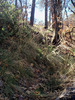 photo thumbnail #11