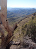 photo thumbnail #14