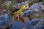 photo thumbnail #7