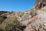 photo thumbnail #7