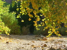 photo thumbnail #11