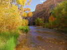 photo thumbnail #12