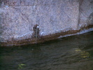 photo thumbnail #13