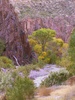photo thumbnail #15
