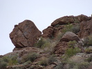 photo thumbnail #3