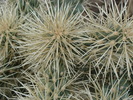 photo thumbnail #12