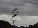 photo thumbnail #13