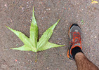 photo thumbnail #15