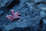 photo thumbnail #12