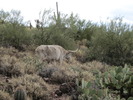 photo thumbnail #2