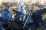 photo thumbnail #2